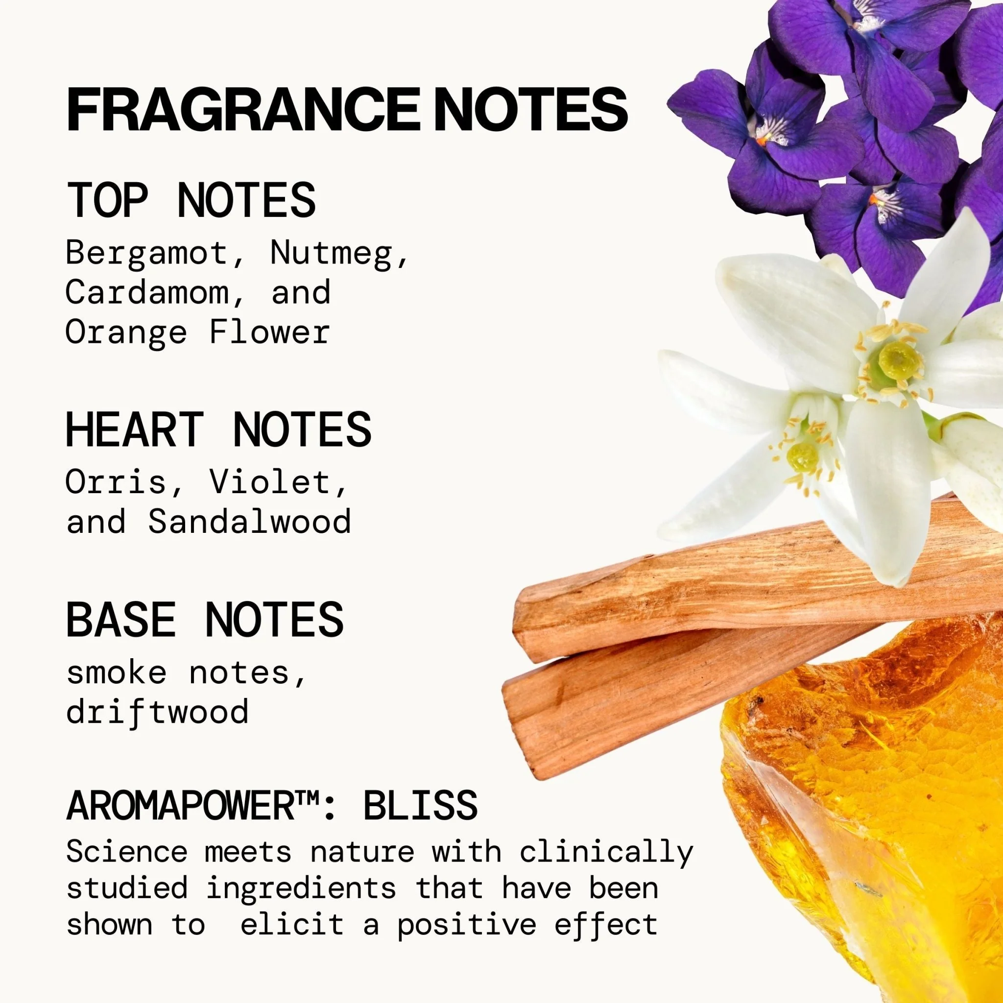 Beach Day Spray Perfume - Image 9