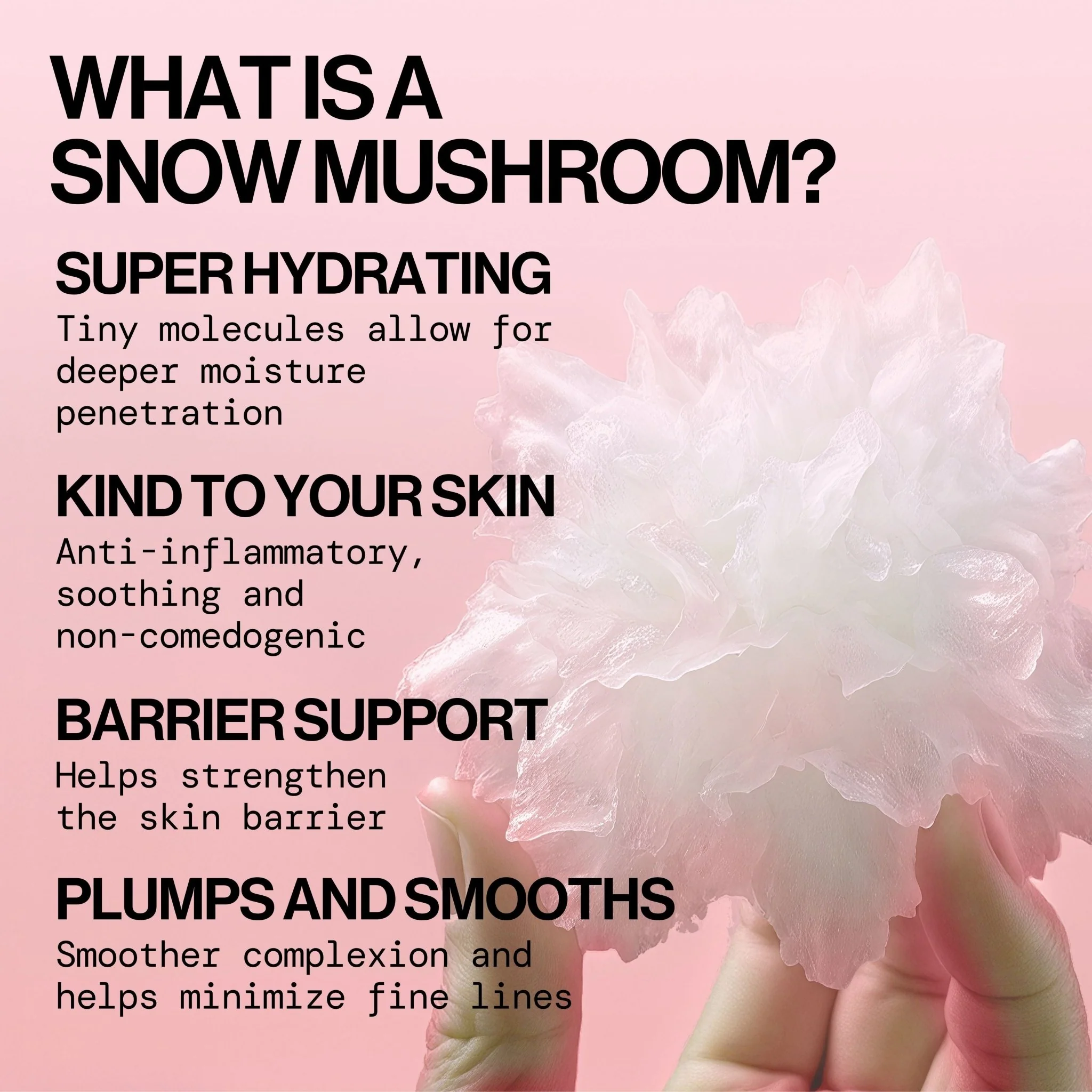 Berry Dewy Barrier Support Serum - Image 5