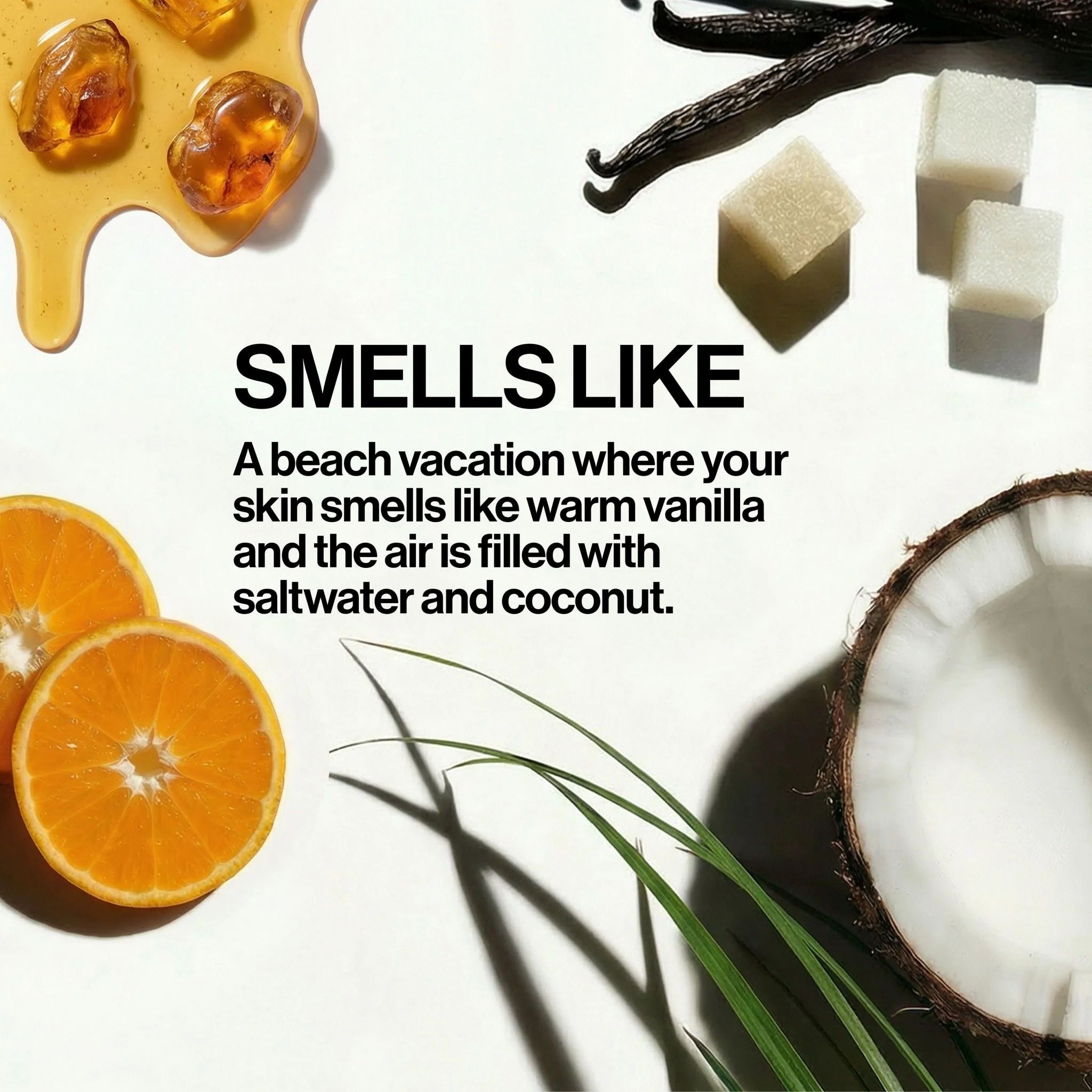 Coconut Vanilla Hair Perfume - Image 3