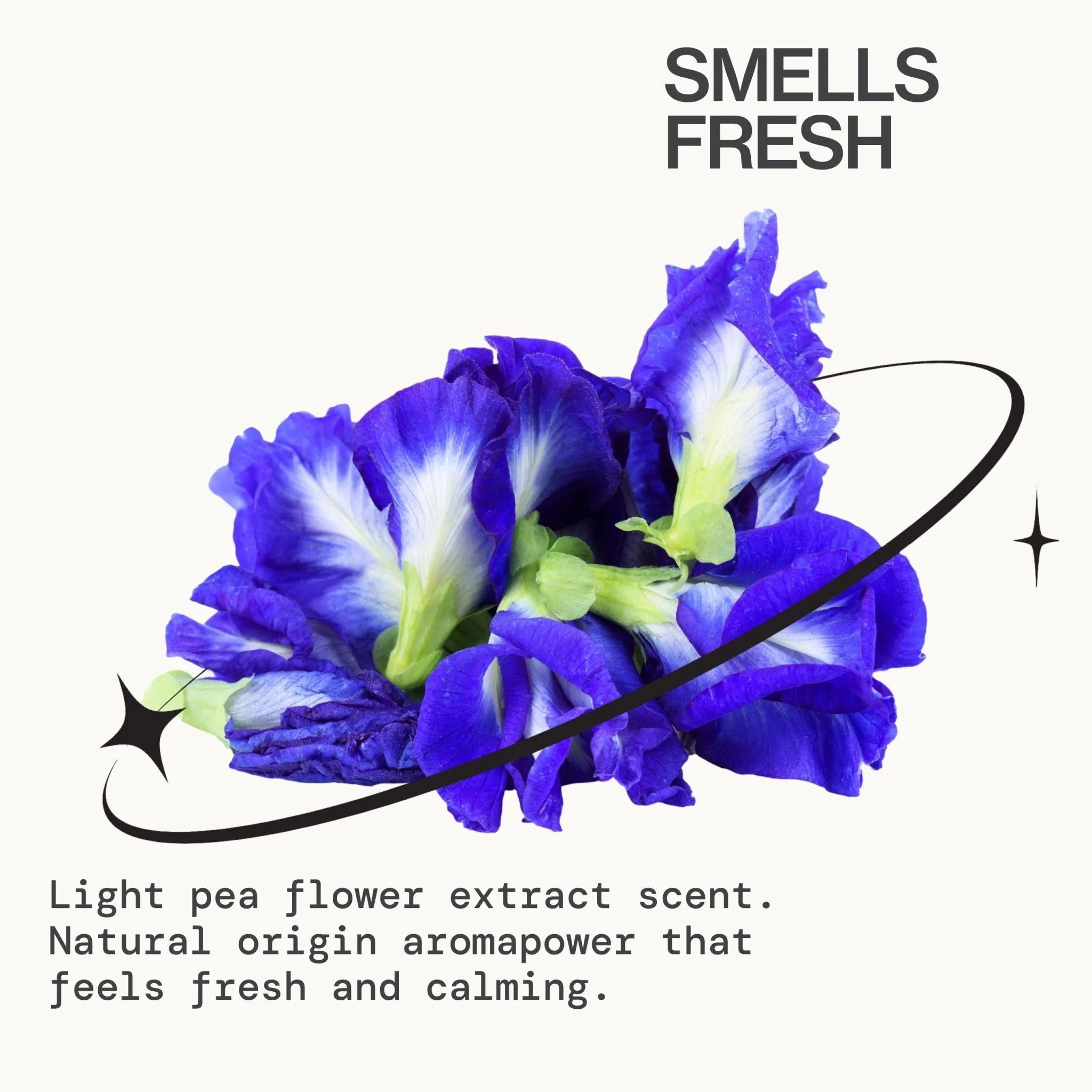 Comfort Mist Daily Calming Spray - Image 11
