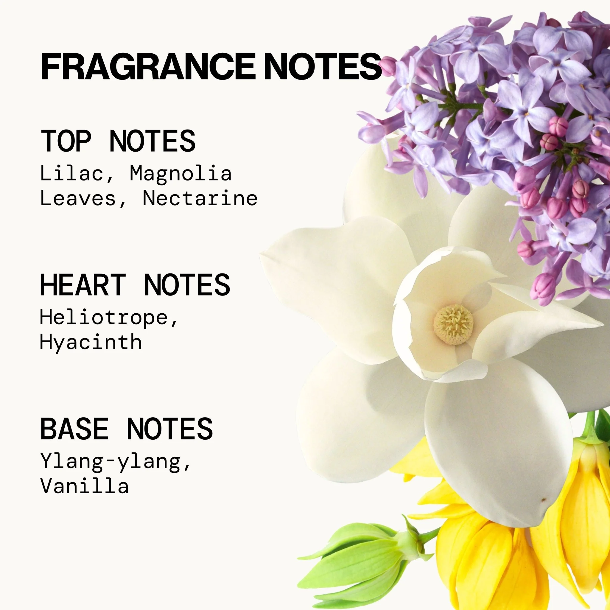 French Lilac Spray Perfume - Image 2