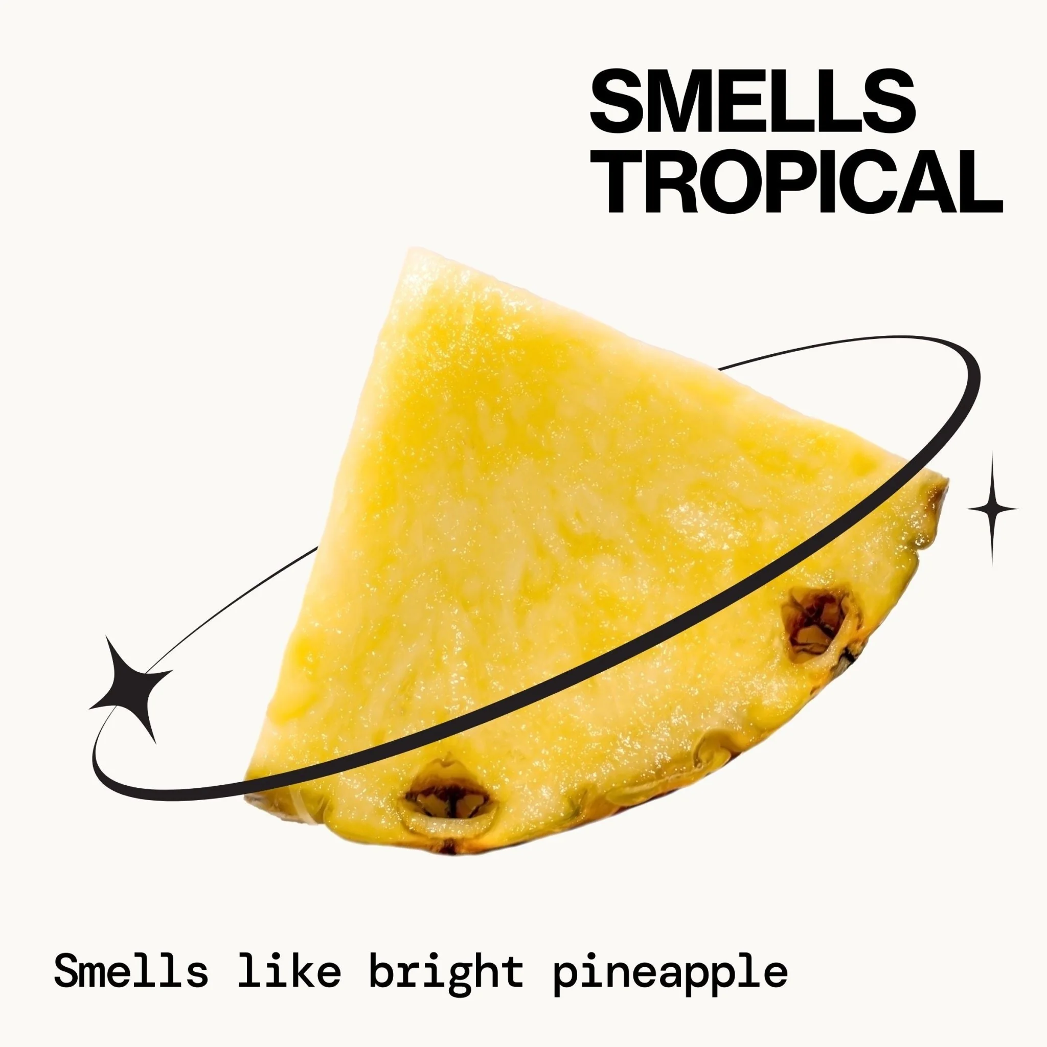 Pineapple Curls Frizz Control & Curl Reboot Mist - Image 9
