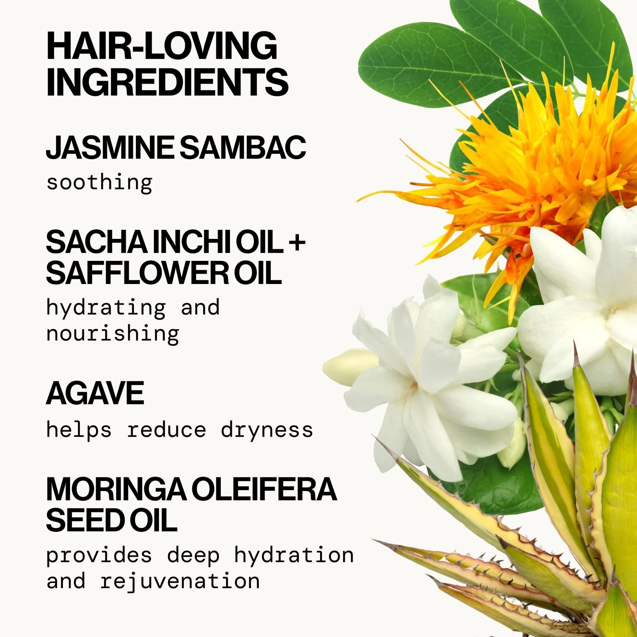 Jasmine Agave Strength + Shine Hair Oil - Image 5