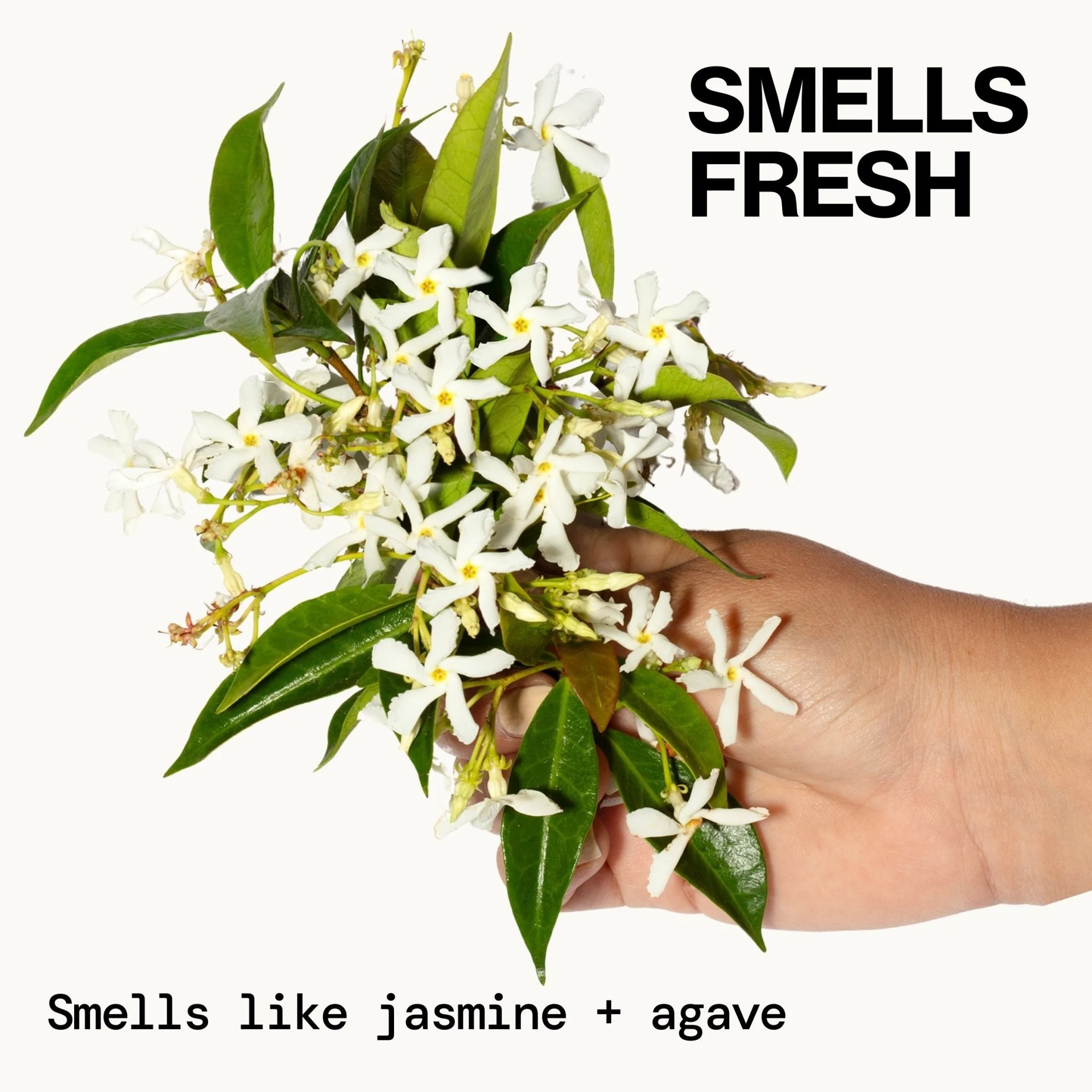 Jasmine Agave Strength + Shine Hair Oil - Image 9