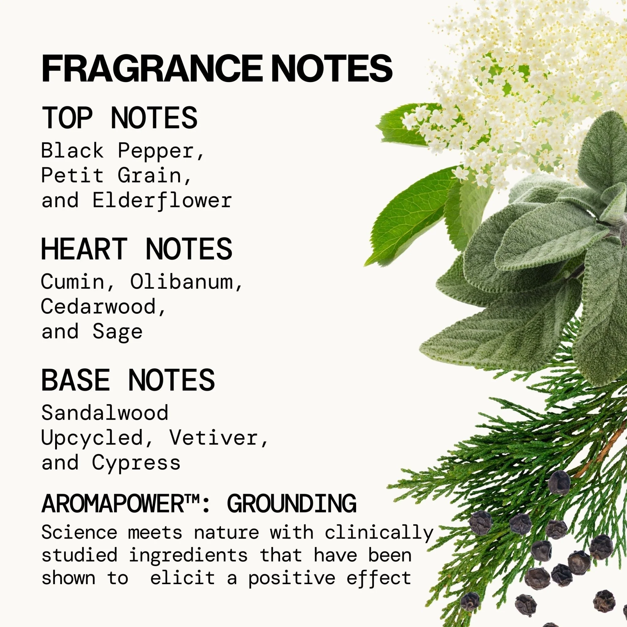 Montana Sky Spray Perfume - Image 9