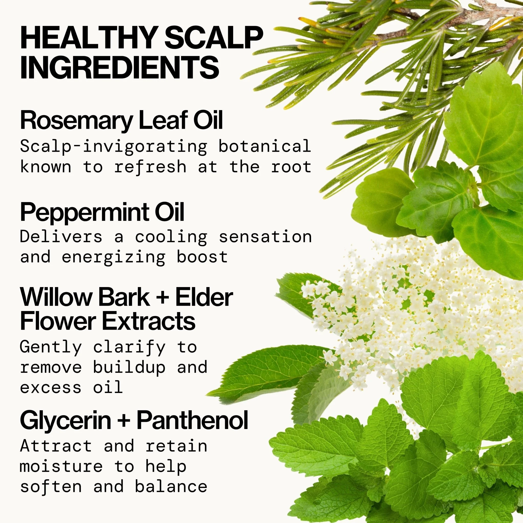 Rosemary Mint Scalp Love Shampoo - Image 4