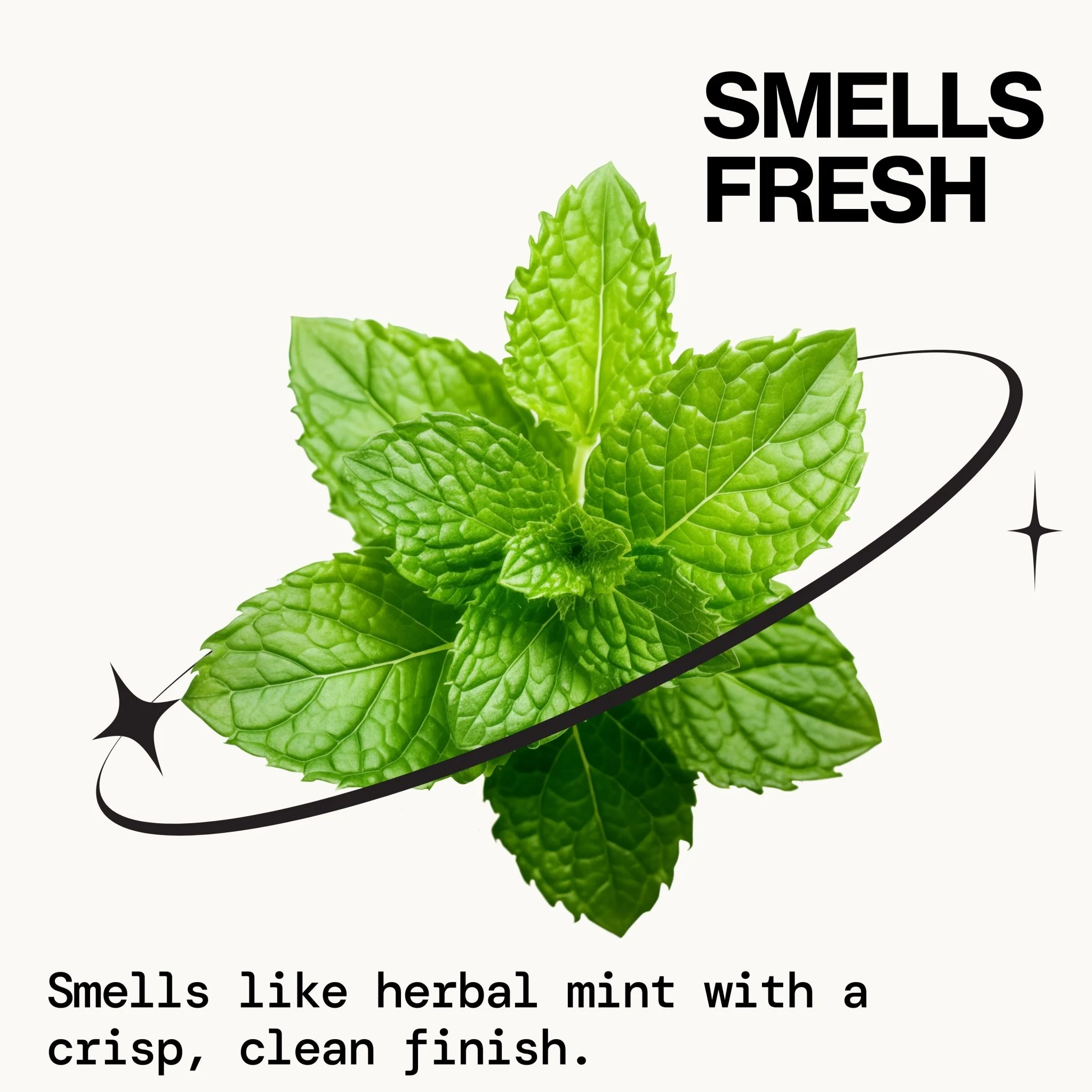 Rosemary Mint Scalp Love Shampoo - Image 5