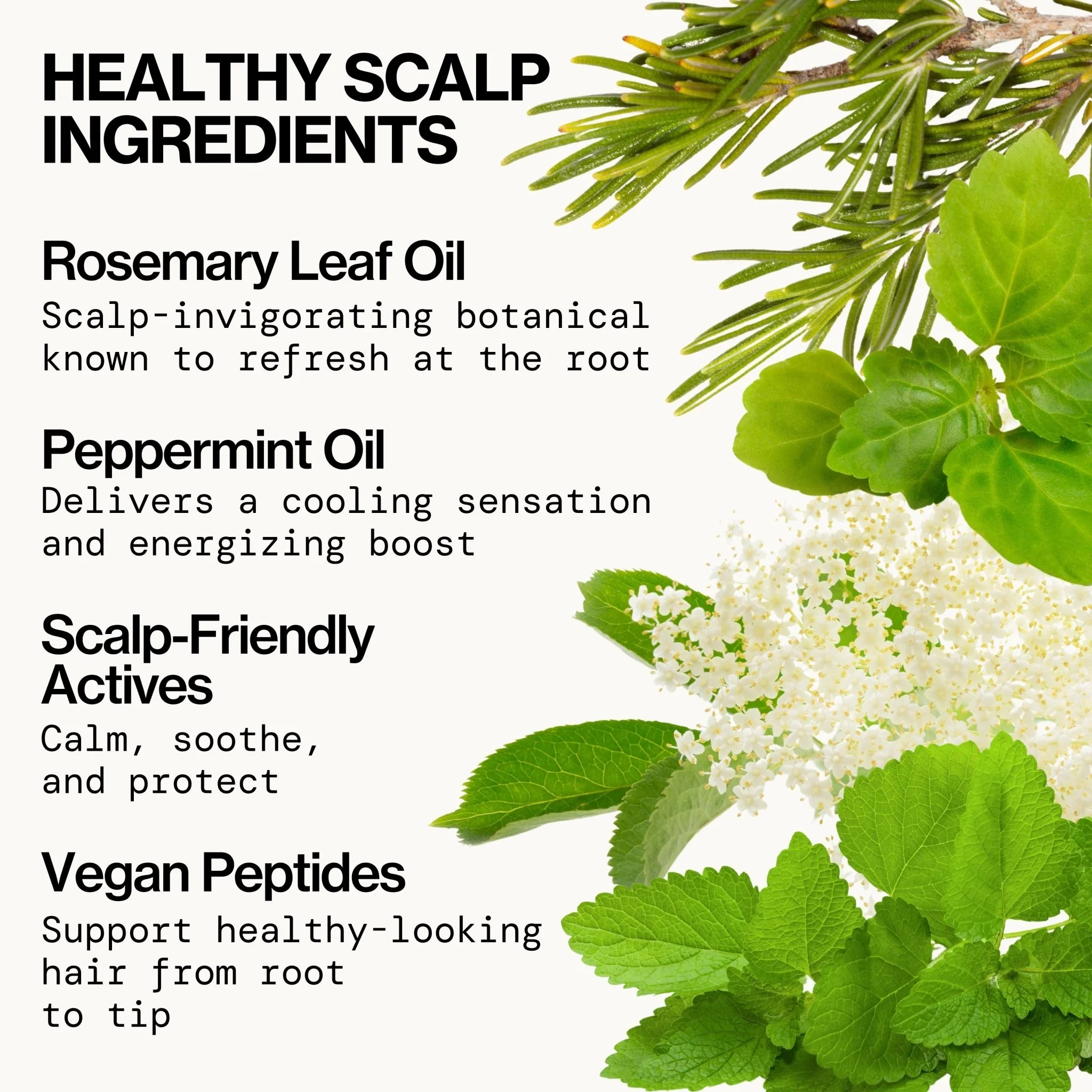 Scalp Love Rosemary Mint Haircare Bundle - Image 4