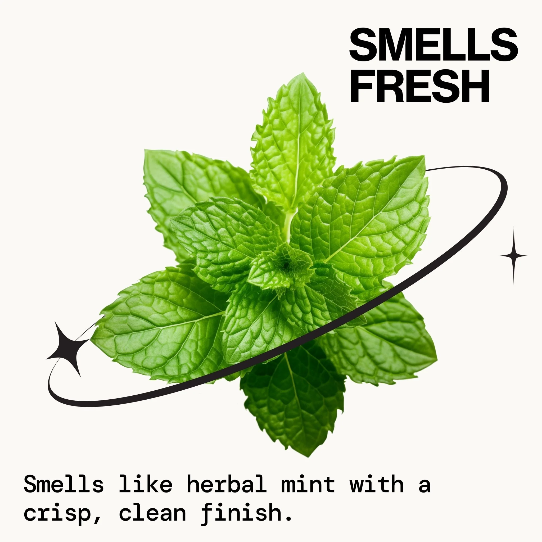Scalp Love Rosemary Mint Haircare Bundle - Image 8