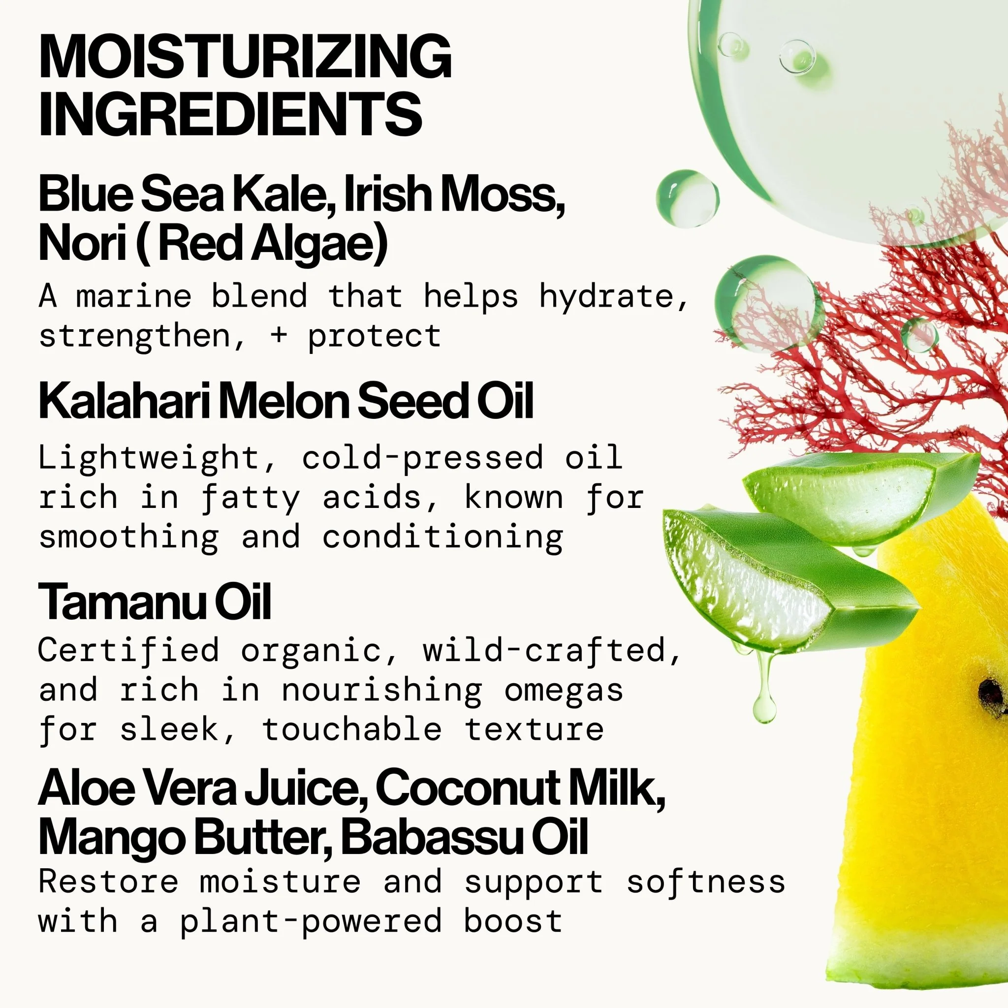 Smooth Seas Style Prep Smoothie - Image 5