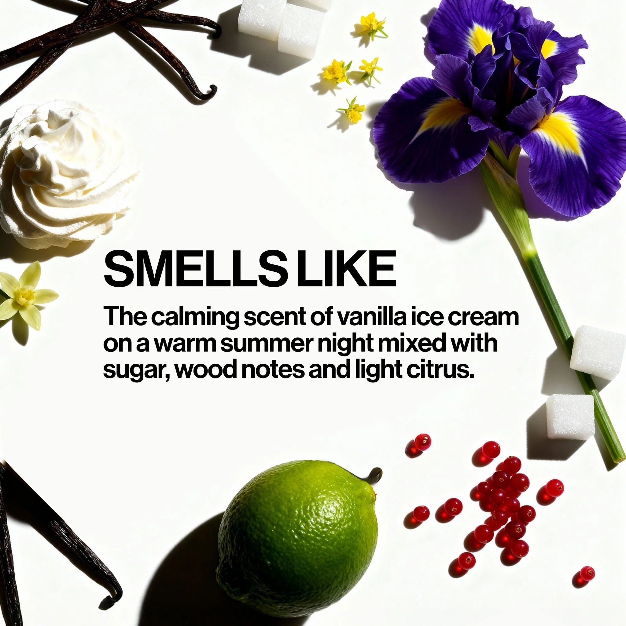 Vanilla Whip Hair Perfume - Image 4