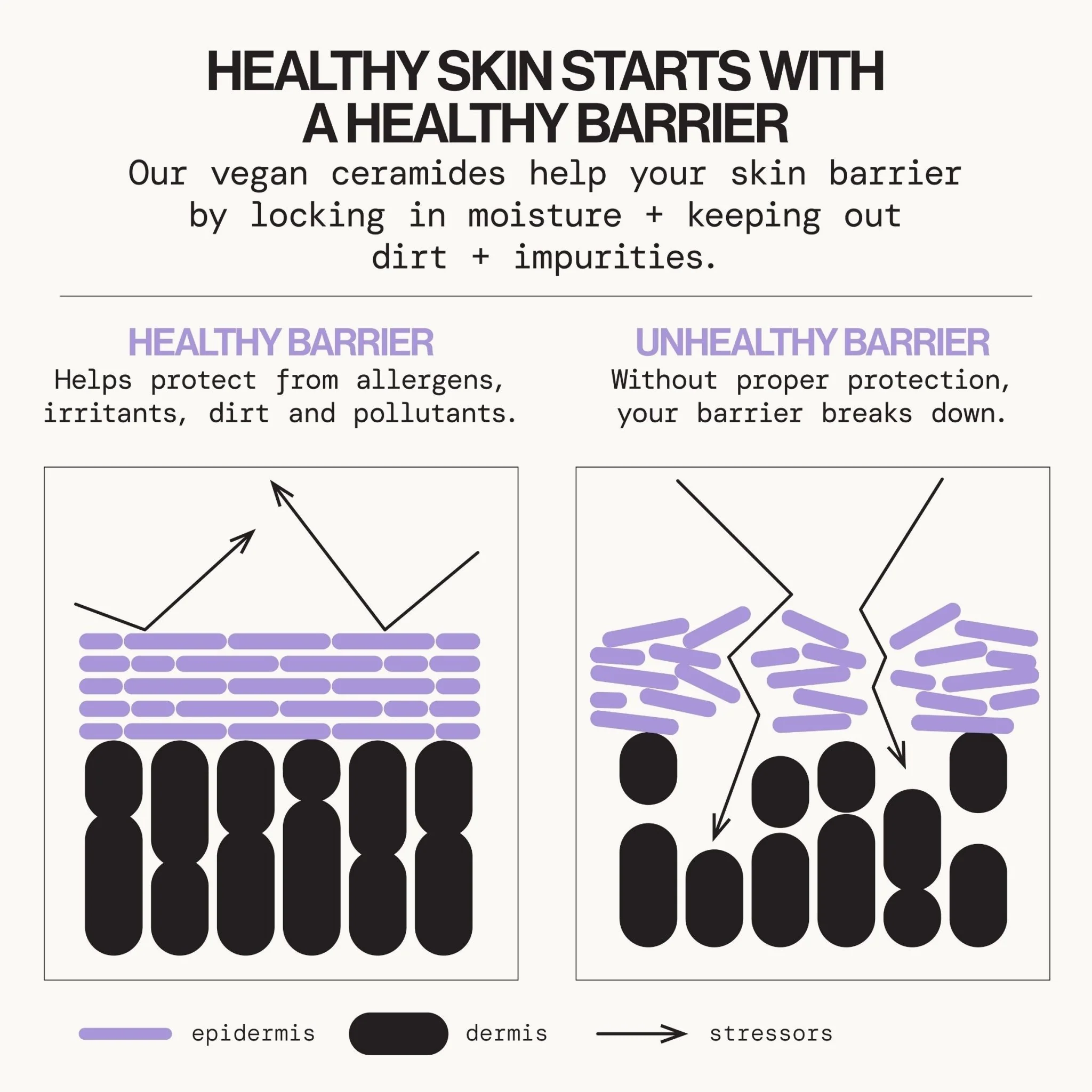 Vegan Ceramide Barrier Face Cream - Image 5