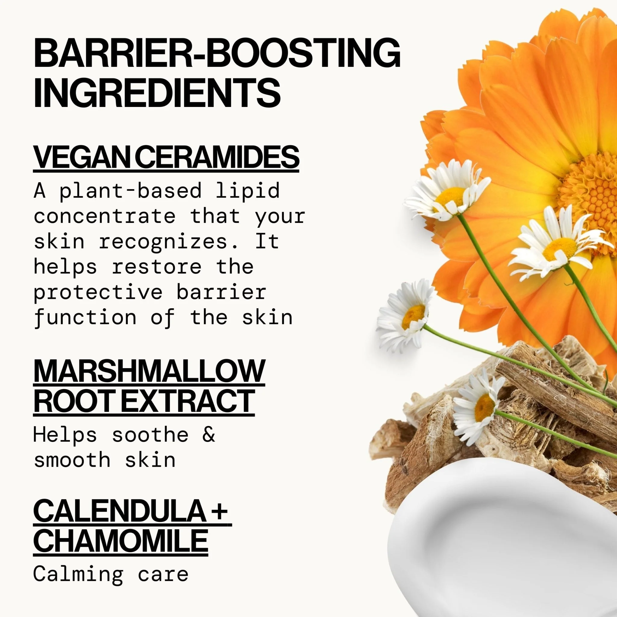Vegan Ceramide Barrier Face Lotion - Image 4