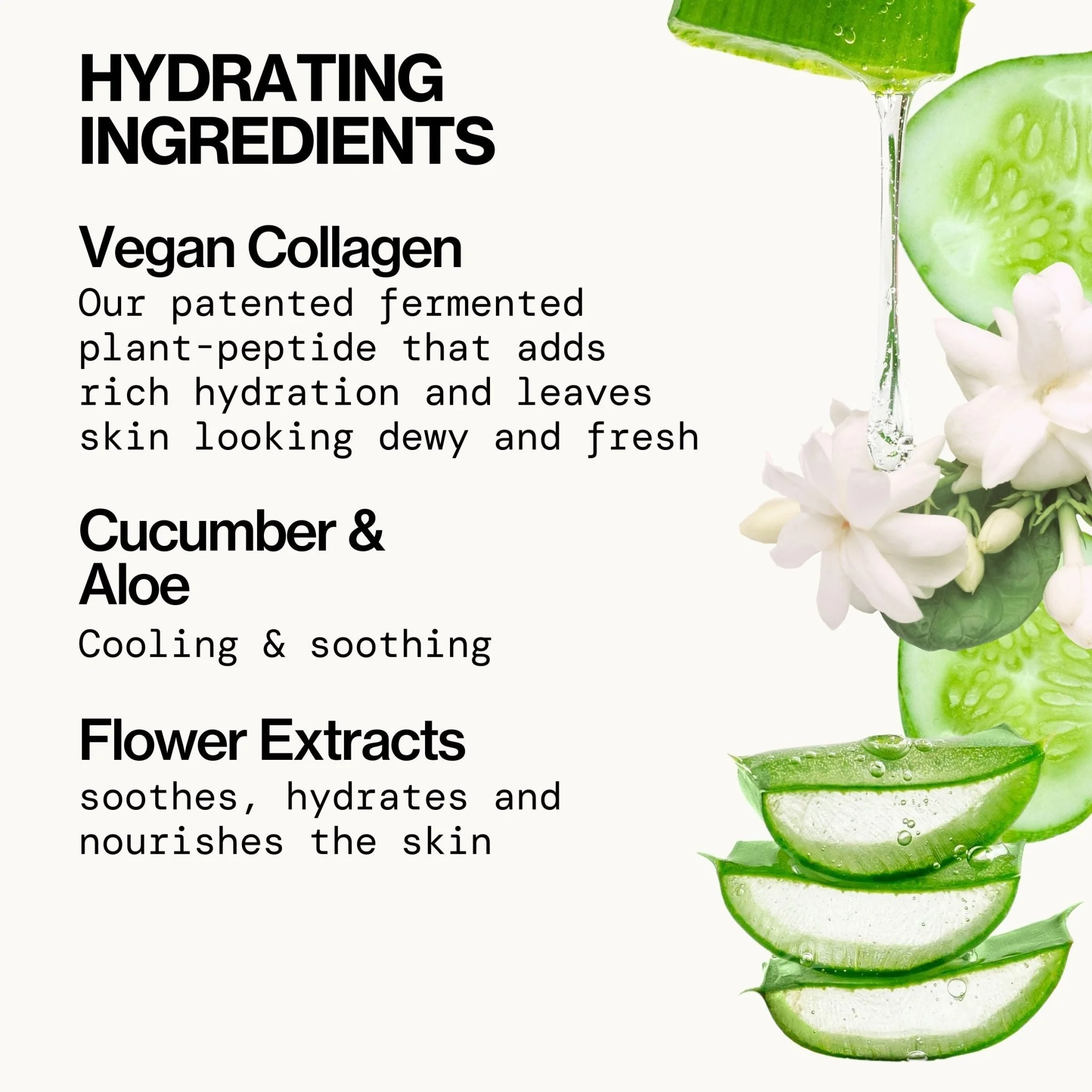 Vegan Collagen Hydrate & Plump Facial Mask - Image 5